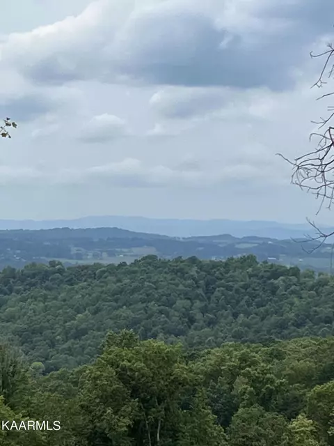 Little Sycamore Rd, Tazewell, TN 37879