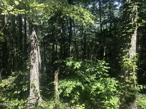 Lot 19 Low Sunset Drive, Sevierville, TN 37876