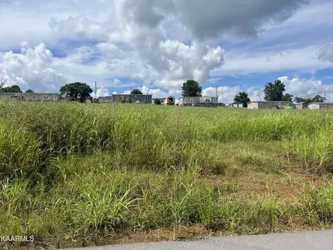Lookout Drive, Rutledge, TN 37861