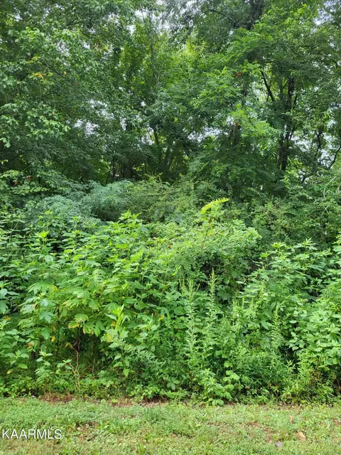 Tazewell Pike, Luttrell, TN 37779