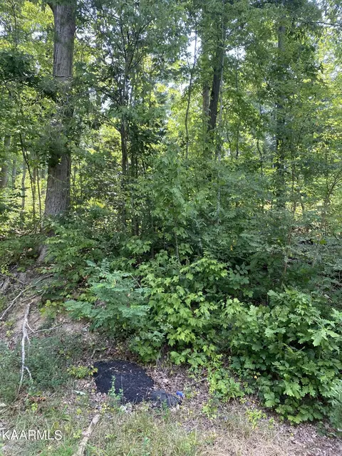 00 Cooney Hollow Rd, Jonesville, VA 24263