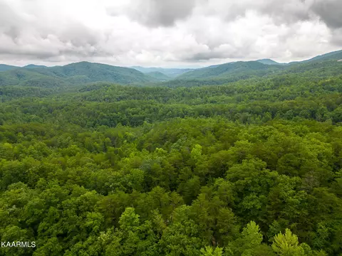 Boxelder St, Sevierville, TN 37876