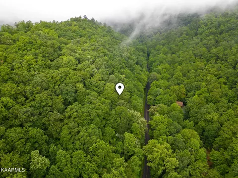 Alpine Drive, Sevierville, TN 37876