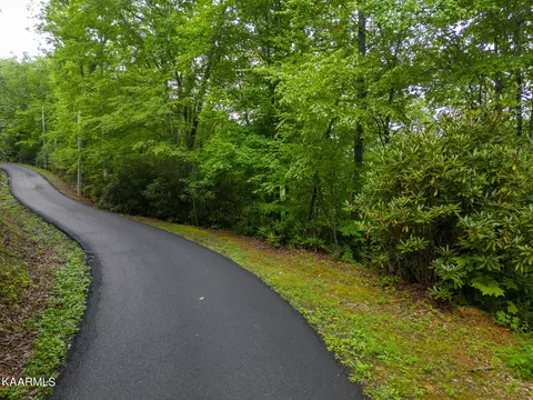Black Gum Gap Rd, Gatlinburg, TN 37738