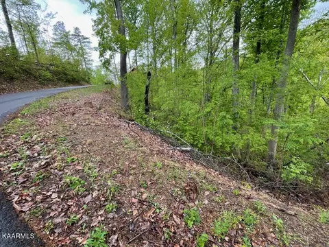 Loop Rd, Sevierville, TN 37876