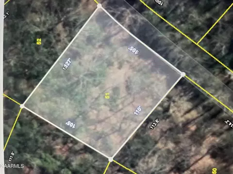 Lot 51 Lin Creek Rd, Sevierville, TN 37876