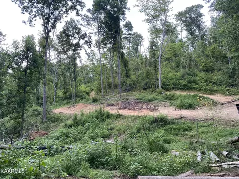 Pinecrest Rd, Jacksboro, TN 37757 photo 10