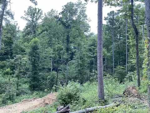 Pinecrest Rd, Jacksboro, TN 37757 photo 13
