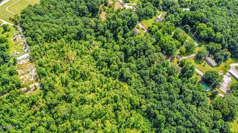 Pinecrest Rd, Jacksboro, TN 37757 photo 9