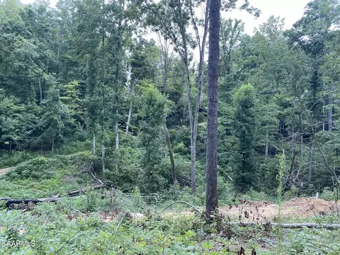 Pinecrest Rd, Jacksboro, TN 37757 photo 14