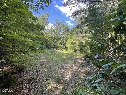 56 Ac Highway 68, Tellico Plains, TN 37385