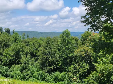 lot173 Eagles Cove Pkwy, Maynardville, TN 37807