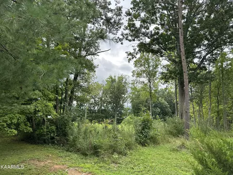 Woodvine St, Jacksboro, TN 37757