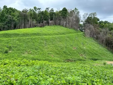 Archer Rd, Luttrell, TN 37779 photo 3