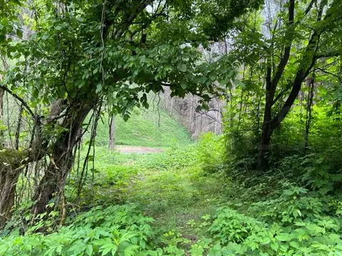 Archer Rd, Luttrell, TN 37779 photo 4