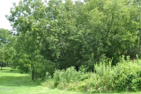 Fenway Drive, Pigeon Forge, TN 37863