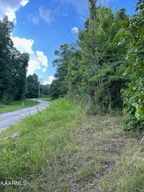 16 Acres Raccoon Rdg, Spring City, TN 37381