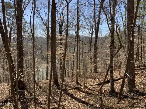 94 Hidden Cove Lane, Sharps Chapel, TN 37866
