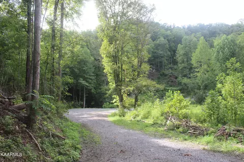 137 Keysa Dr, Duff, TN 37729 photo 6