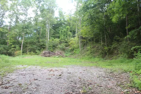 137 Keysa Dr, Duff, TN 37729 photo 4
