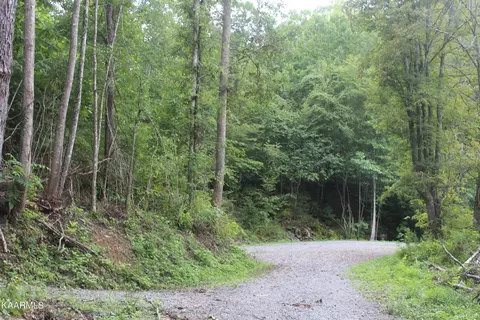 137 Keysa Dr, Duff, TN 37729 photo 2