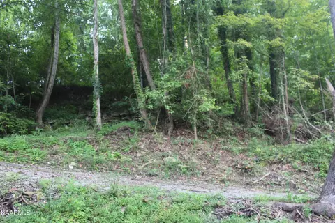 137 Keysa Dr, Duff, TN 37729 photo 3