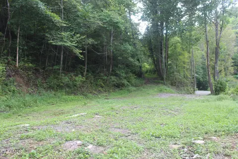 137 Keysa Dr, Duff, TN 37729