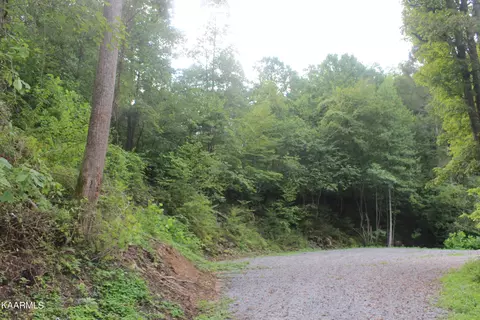 137 Keysa Dr, Duff, TN 37729 photo 7