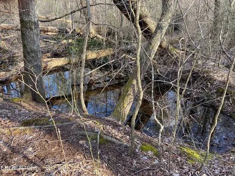 Lot 80 Bluffs @ Rocky Ridge, Sparta, TN 38583