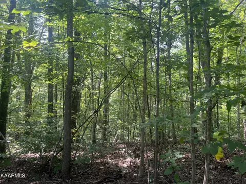 9401 Jim Loy Dr, Strawberry Plains, TN 37871