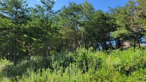 107 Amohi Way, Loudon, TN 37774