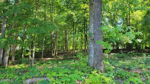119 Gadusi Cir, Loudon, TN 37774
