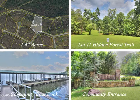 153 Hidden Forest Tr, Spring City, TN 37381
