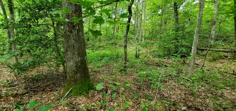 Cumberland Lakes Drive, Monterey, TN 38574