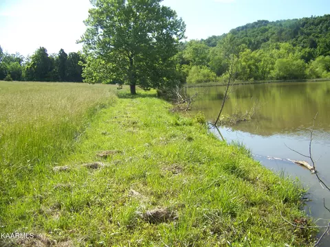 Miser Station Rd, Friendsville, TN 37737