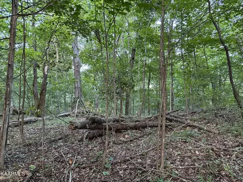 Twin Oaks Lane, Caryville, TN 37714