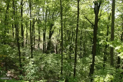Jericho Rd, Maryville, TN 37803