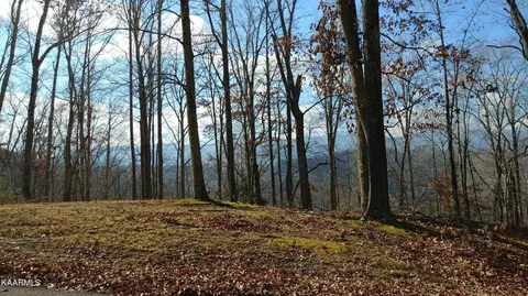 N Shorewood Drive, Caryville, TN 37714