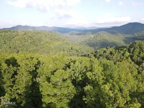 Big Four Rd Tract 1, La Follette, TN 37766
