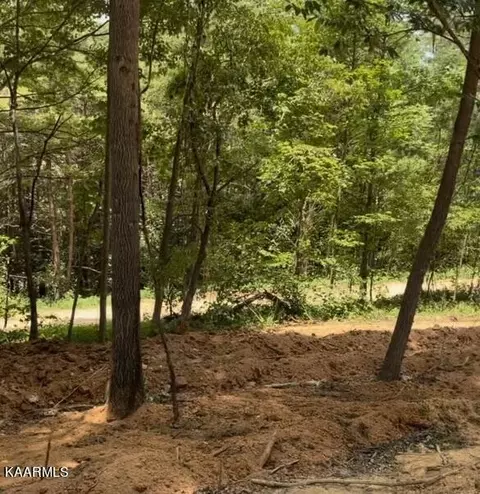 Jim Davis Rd, Tellico Plains, TN 37385