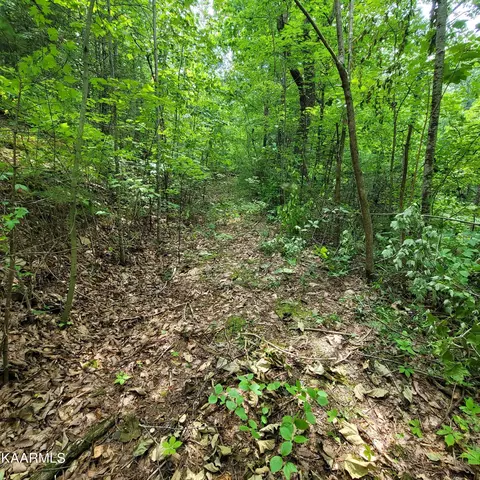 Chamberlain Lane, Sevierville, TN 37862 photo 28