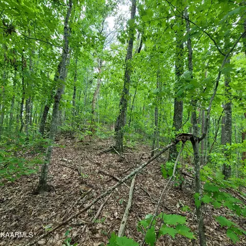 Chamberlain Lane, Sevierville, TN 37862 photo 17
