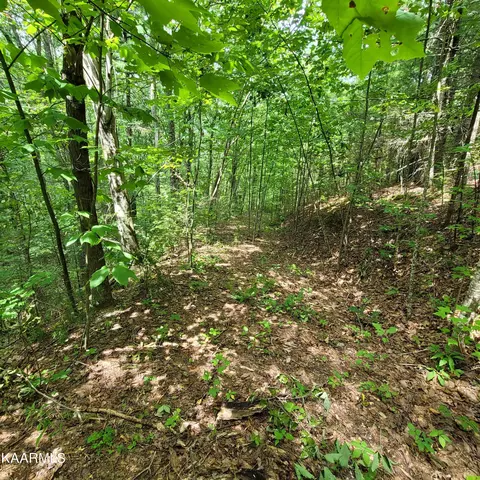 Chamberlain Lane, Sevierville, TN 37862 photo 29