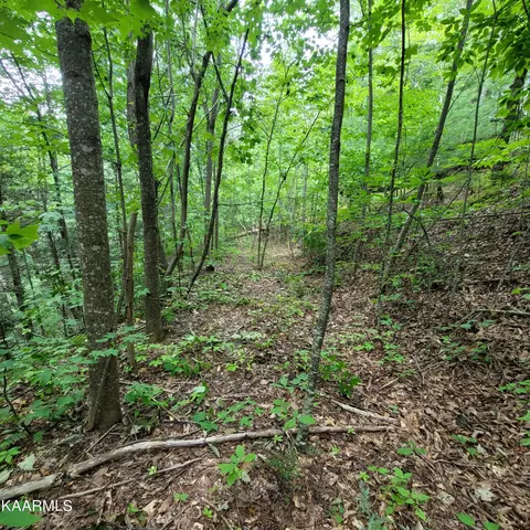 Chamberlain Lane, Sevierville, TN 37862 photo 26