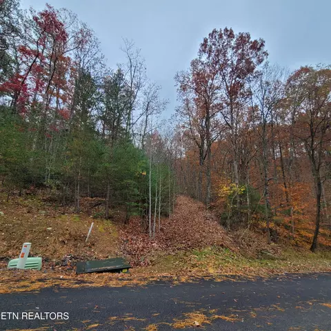 Chamberlain Lane, Sevierville, TN 37862 photo 3