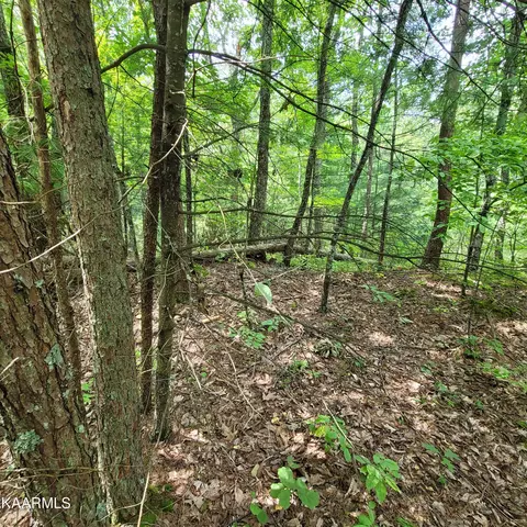 Chamberlain Lane, Sevierville, TN 37862 photo 19