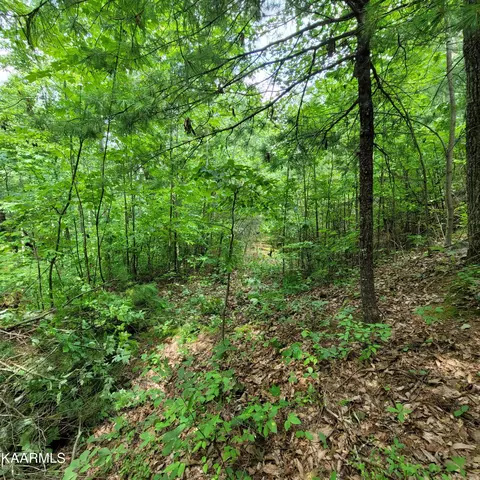 Chamberlain Lane, Sevierville, TN 37862 photo 21