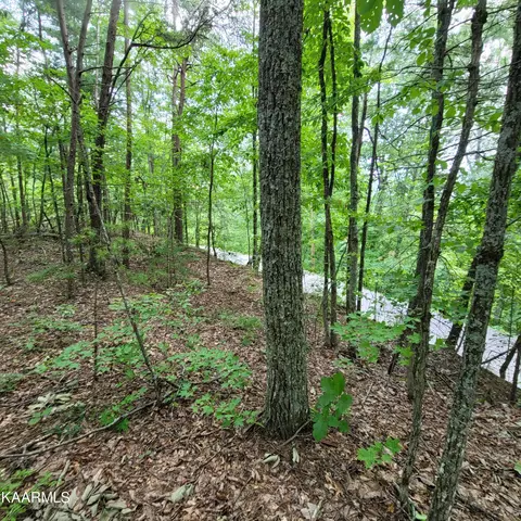 Chamberlain Lane, Sevierville, TN 37862 photo 18
