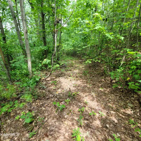 Chamberlain Lane, Sevierville, TN 37862 photo 24