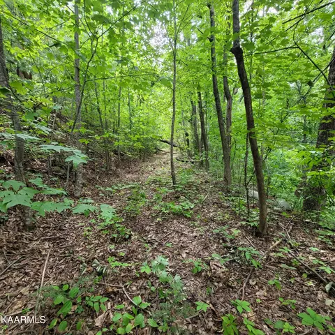Chamberlain Lane, Sevierville, TN 37862 photo 25
